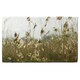 image 5 of Pampus grass plumes Slimbridge (Bathroom Set)