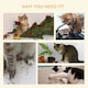 image 7 of PawHut 242cm Floor to Ceiling Cat Tree with Leaves Scratching Post, Green