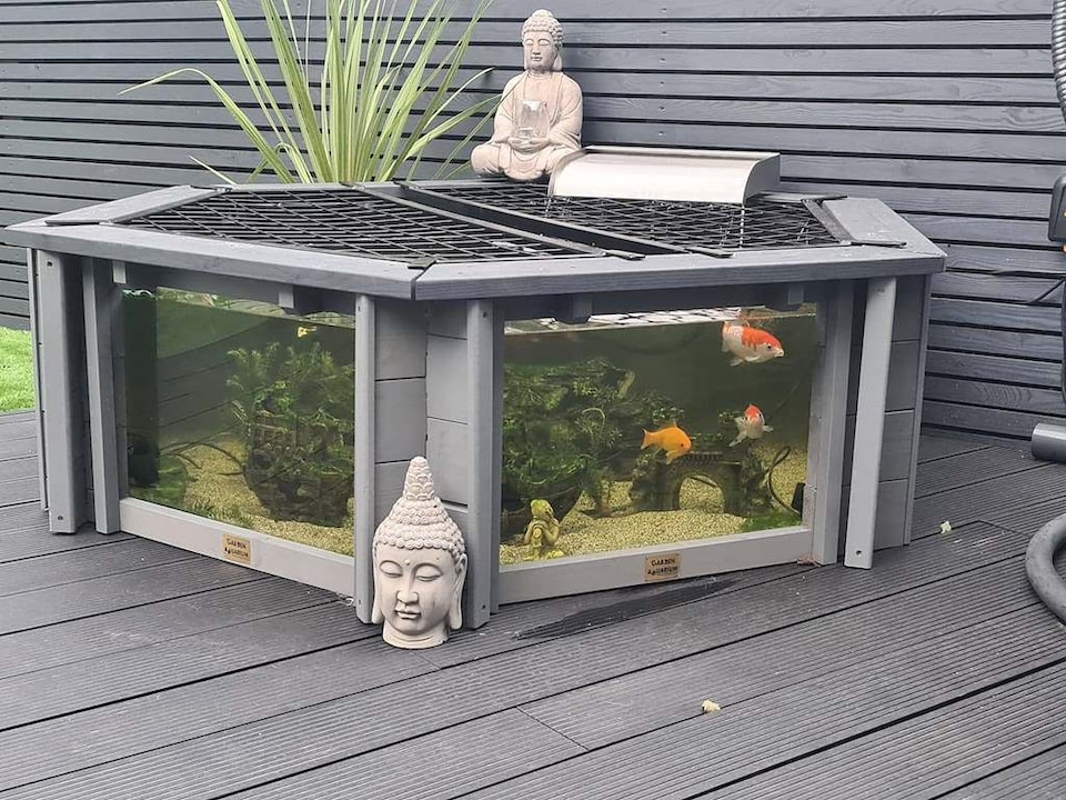 image 1 of Raised hexagon pond with large windows Lily Clear View Garden Aquarium in Grey