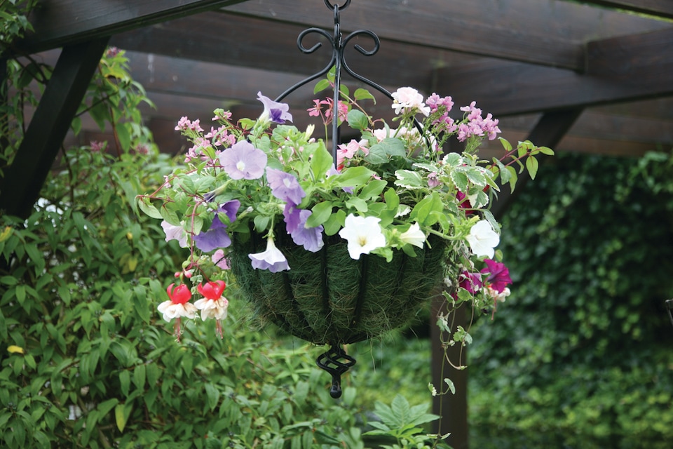 image 1 of Tom Chambers Black Metal Spanish Garden Flower Wall Hanging Basket Large 35cm 14 inch - Without Bracket | Black | Black