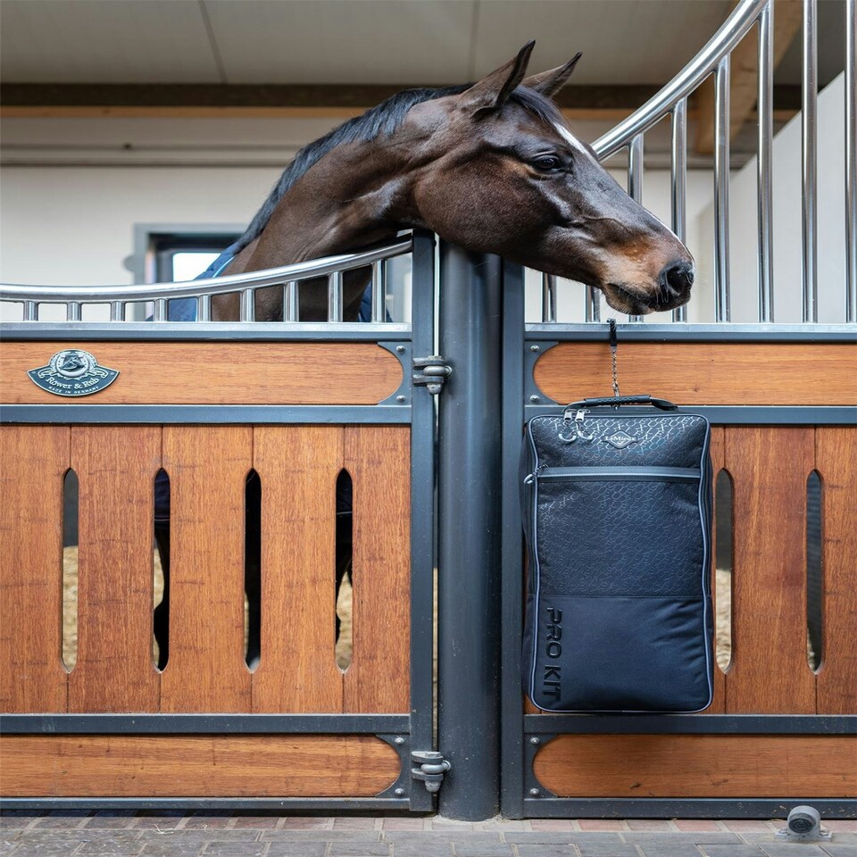 image 1 of LeMieux Elite Pro Bridle Bag Blue | One Size