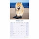 image 2 of Akita 2026 Calendar | Square Wall Calendar | Dog Breed Gift | Plastic Free Packaging | by Avonside Publishing