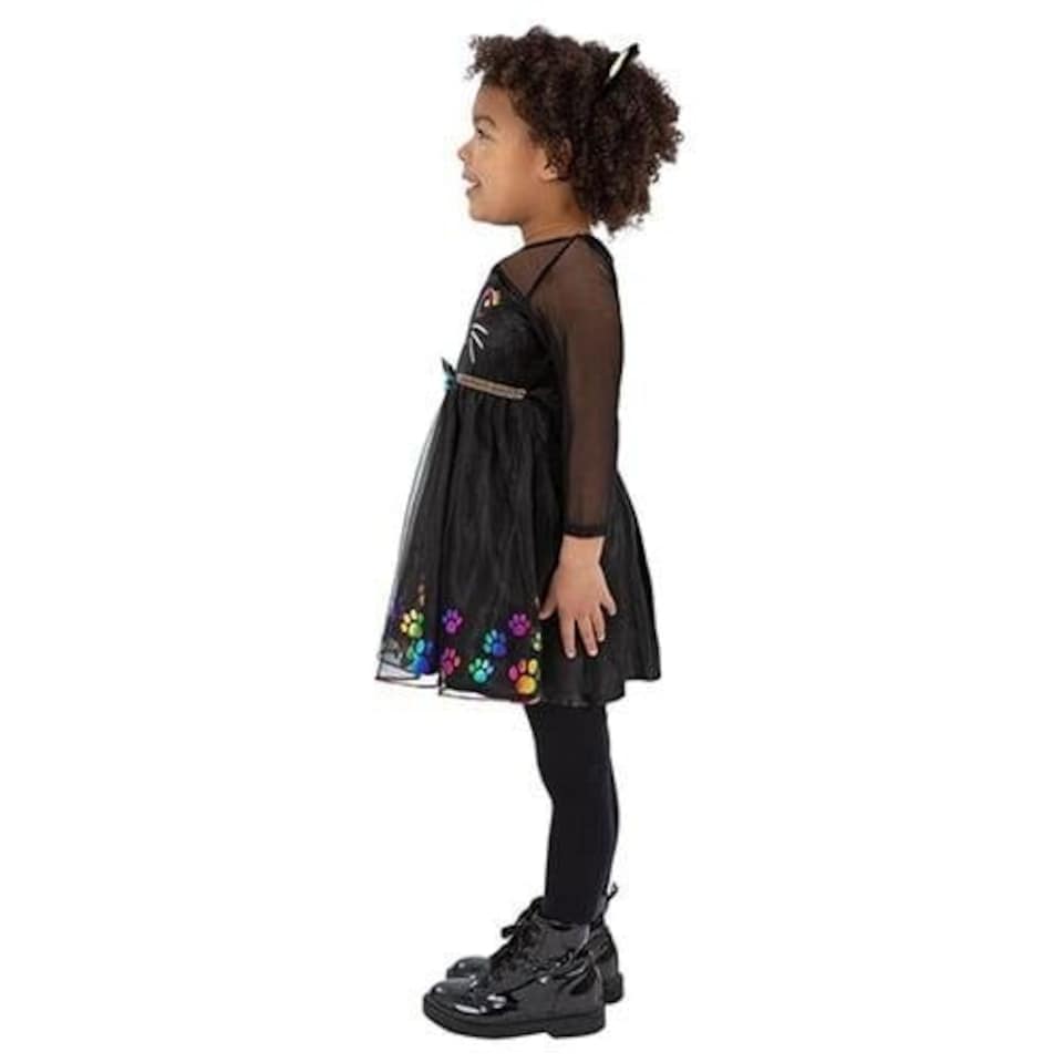 image 1 of Rainbow Cat Girls Fancy Dress Costume Toddler Age 3-4