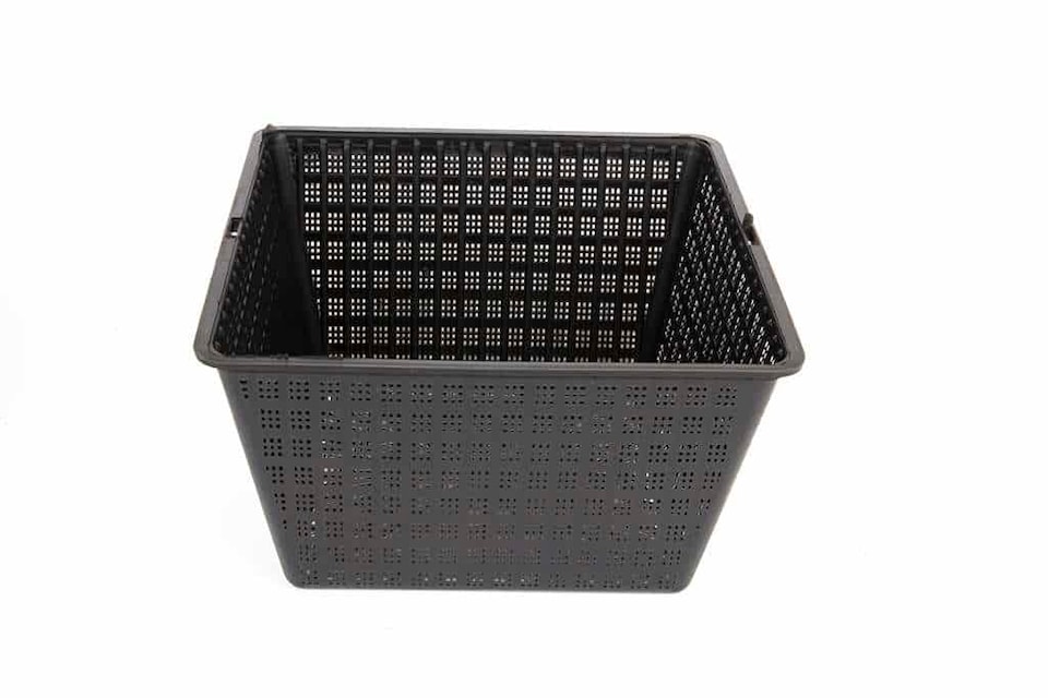image 1 of Pond Planting Basket - Square - 24cm / 5 Ltr
