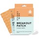 image 1 of Skin Choice Breakout MicroDarts Micro Needle Acne Salicylic Acid Pimple Patches - 8pk