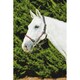 image 2 of Kincade Leather Rope Headcollar - Burgundy/Brown - Cob