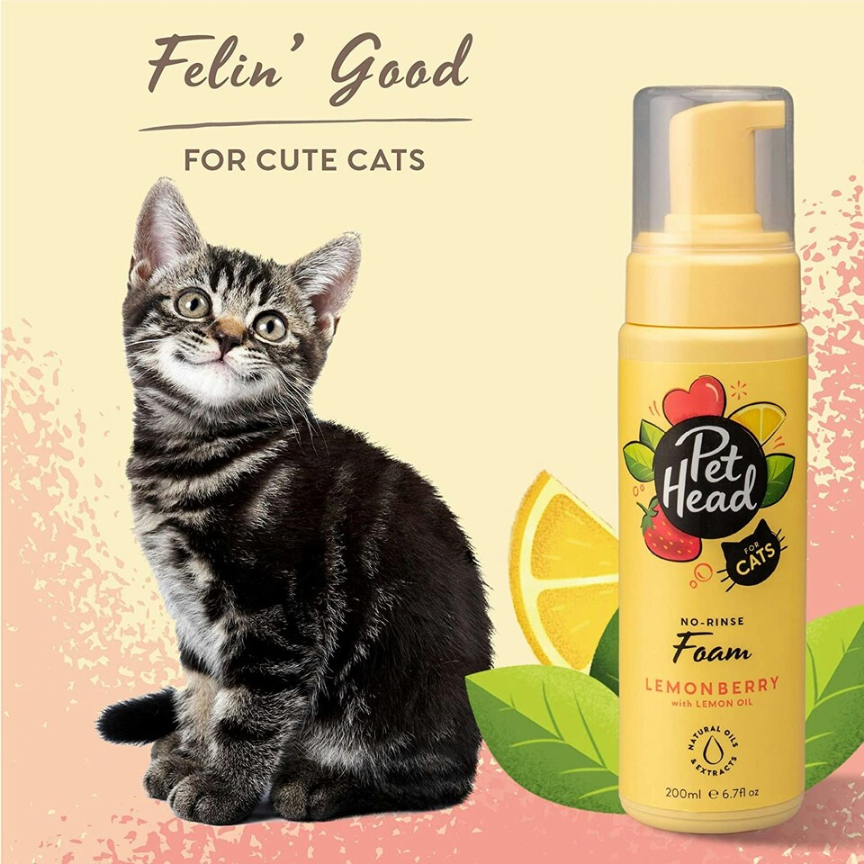 image 1 of Pet Head Felin' Good N/A | Size: Foam