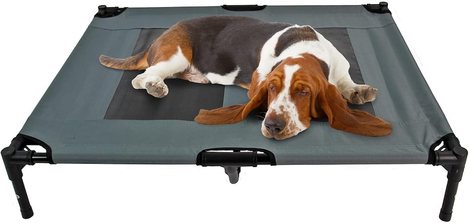 image 1 of Actiaspet Elevated Dog Bed Oxford Mesh Pet Cot Indoor or Outdoor (Grey, Large)