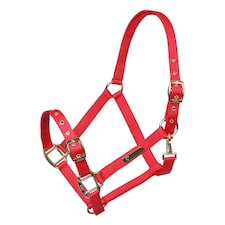 ARMA Adjustable Horse Headcollar - Red - Pony Red | S