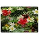 image 1 of Tropical Foliage (Rug) Multi | Medium: 80x150cm
