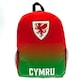 image 1 of FA Wales Cymru Backpack - Red/Green - One Size