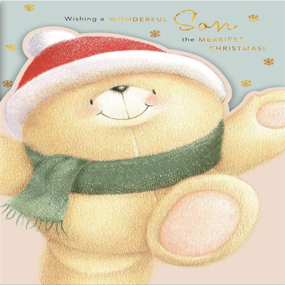 image 1 of Forever Friends Wonderful Son Christmas Card