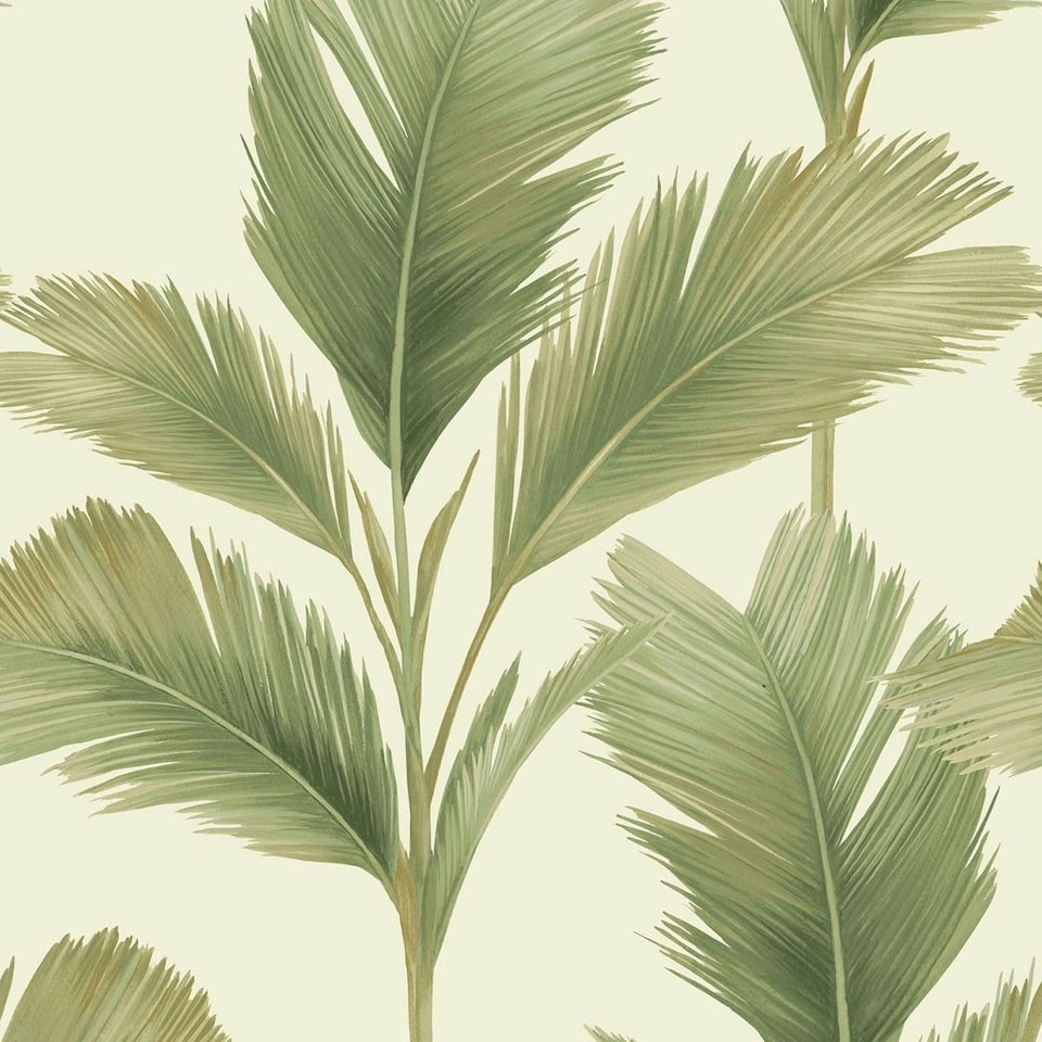 image 1 of Belgravia Kailani Palm Leaf Wallpaper - Sage/Cream - 10m x 0.5m Green
