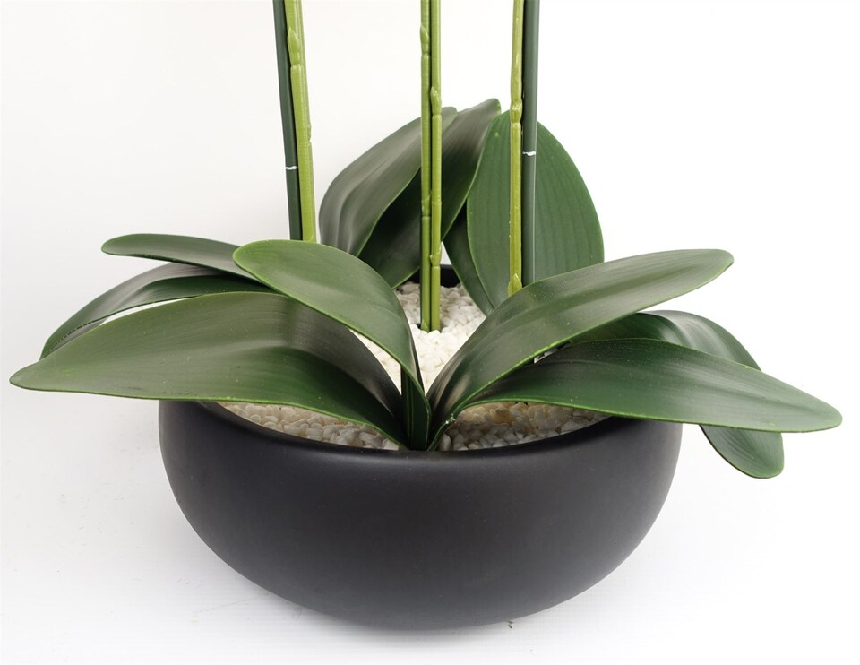 image 1 of Orchid Artificial Yellow Black Ceramic Planter Botanik