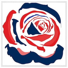 Red & blue rose print (Picutre Frame) White | M