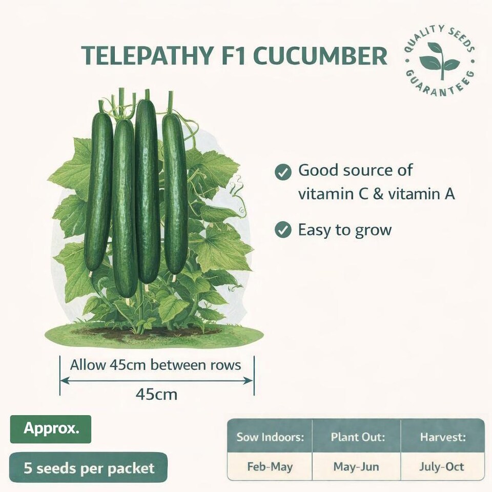 image 1 of Fothergills Premium Cucumber Seeds - Telepathy F1