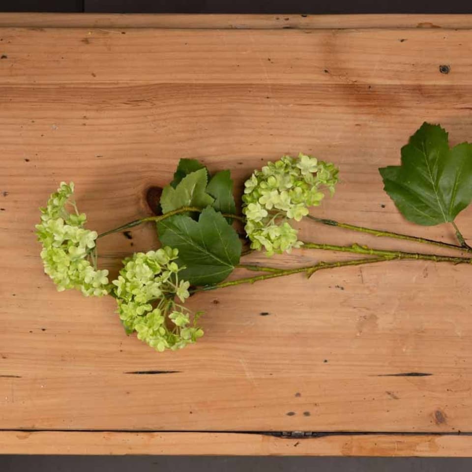 image 1 of Viburnum Spray Artificial Plant - Plastic - L18 x W27 x H63 cm - Green