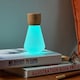 image 3 of Gingko Mini Pentagon Desk Bulb Light in Natural Wood N/A | White Ash