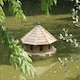 image 1 of Somerton Floating Duck Eight Nest - Pressure Treated Red Pine - L180 x W180 x H90 cm Brown | One Size