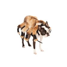 Bristol Novelty Spider Dog Costume - Brown/Black/White - M Brown | M