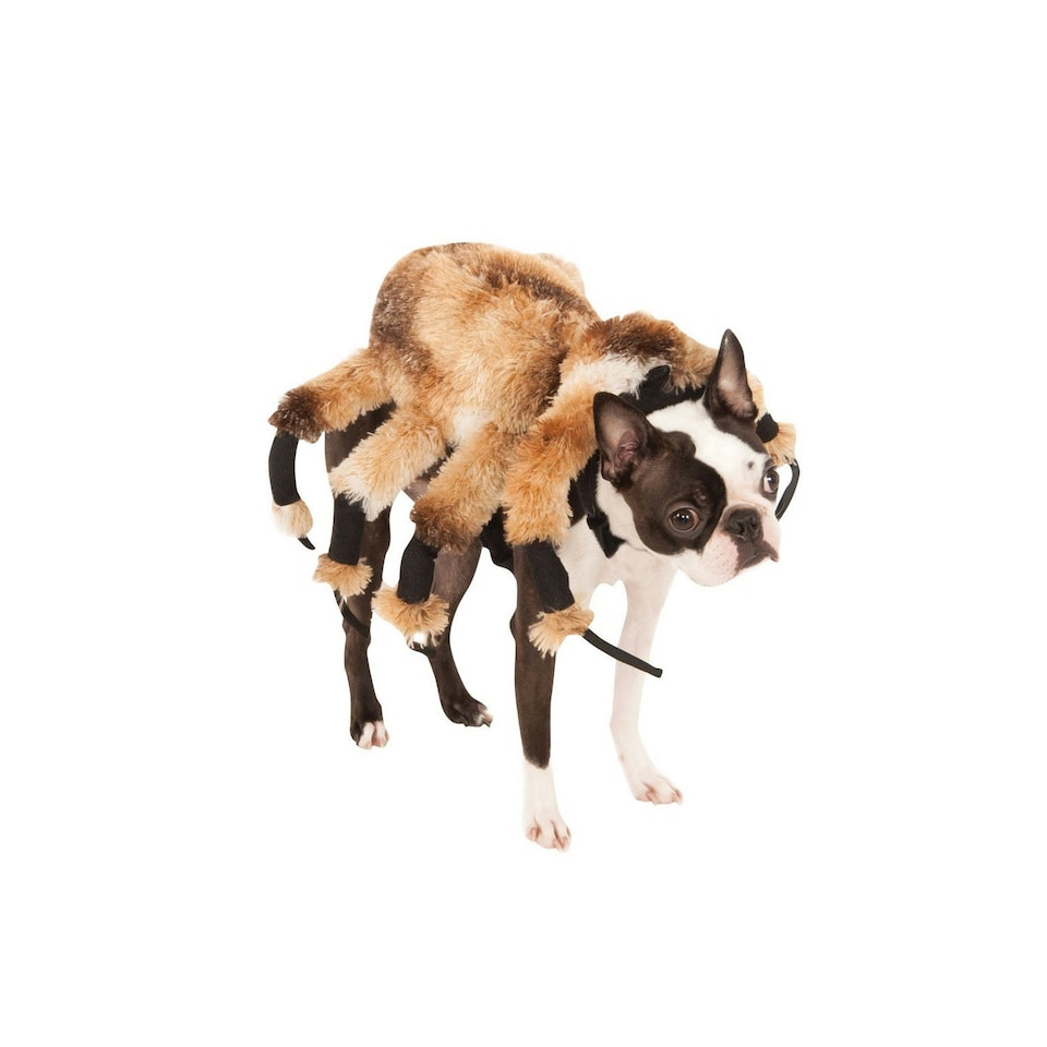 Bristol Novelty Spider Dog Costume - Brown/Black/White - M Brown | M