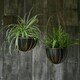 image 7 of Indoor Tall Kensington Hanging Planter Bronze