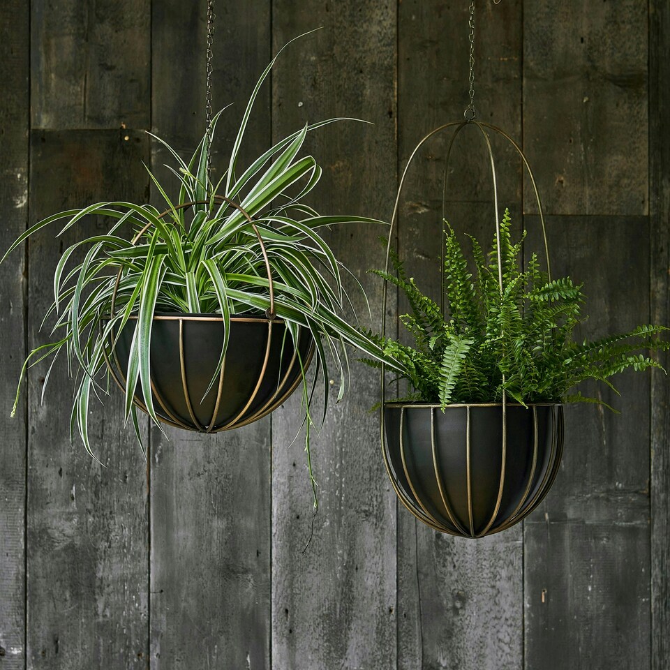 image 1 of Indoor Tall Kensington Hanging Planter Bronze