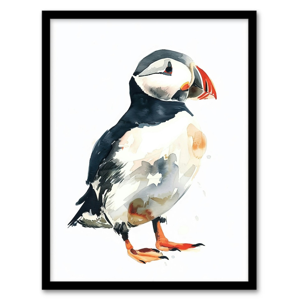 image 1 of Single Puffin Bird Watercolour Portrait Black Framed Wall Art Print A4