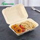 image 2 of Bagasse Sugarcane Takeaway Meal Boxes 9x6 Clamshell Food Containers TUV Home Compostable Certified, Unbleached, PFAS Free & Sturdy for Hot & Cold Food, Restaurants, BBQs Parties