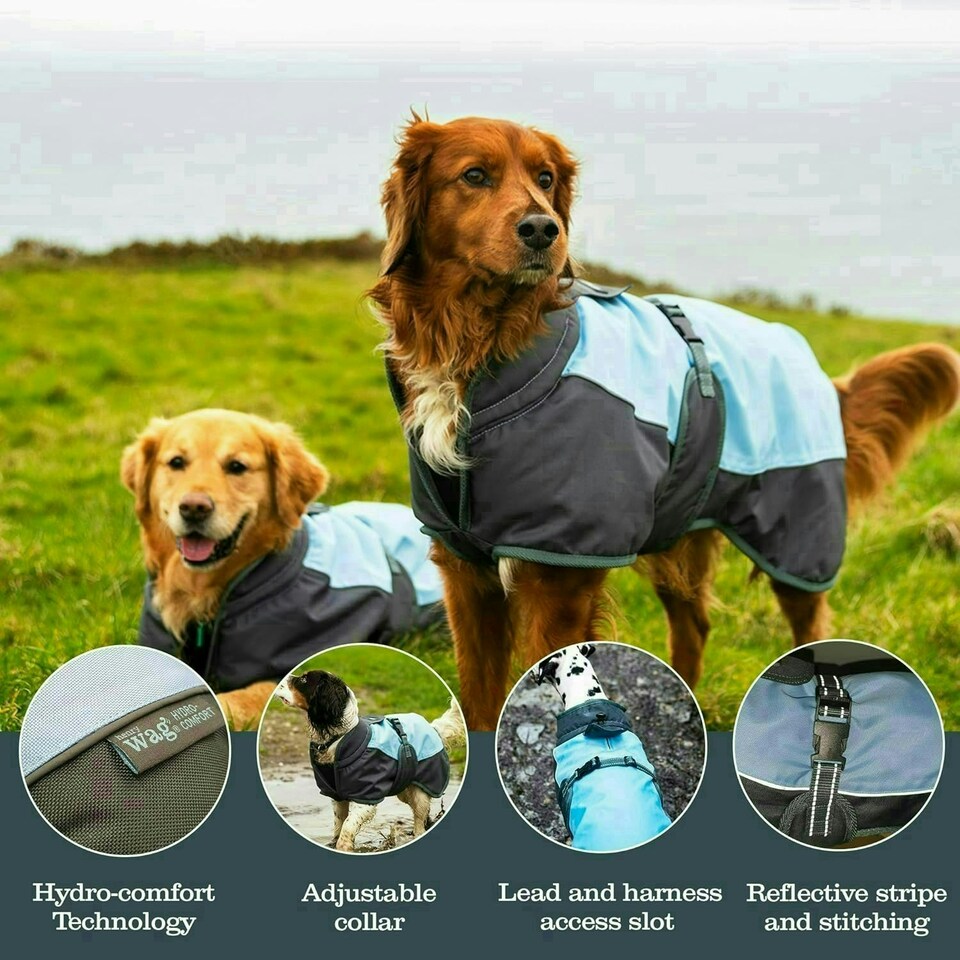 image 1 of Henry Wag Waterproof Dog Coat With Adjustable Collar - (Large 55cm)