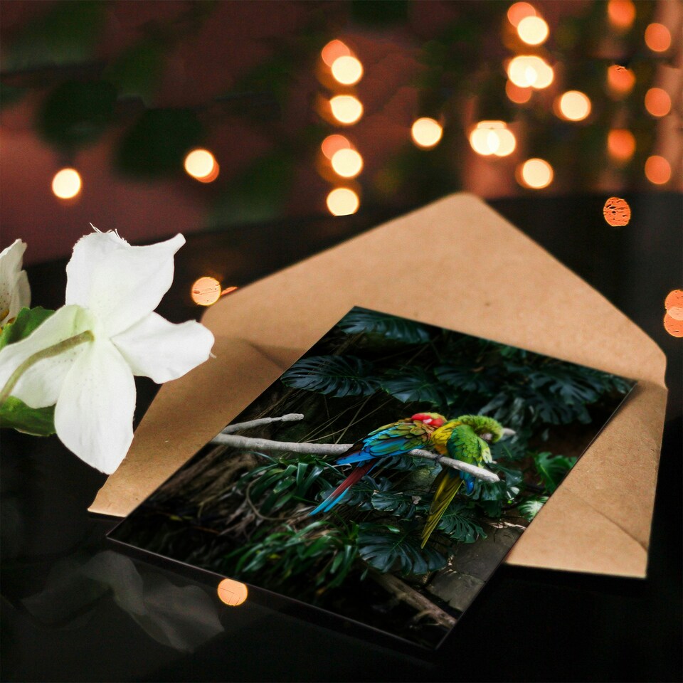 image 1 of Carol M Highsmith Art Card Colourful Sleeping Parrots Photo