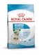 image 1 of Royal Canin Mini Starter Mother & Babydog Dry Food for Small Breeds - 4 kg | Multi | 4kg | 1