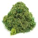 image 1 of Gaugemaster Scenics Forest Floor 2.5mm Static Grass 30g (GM179)