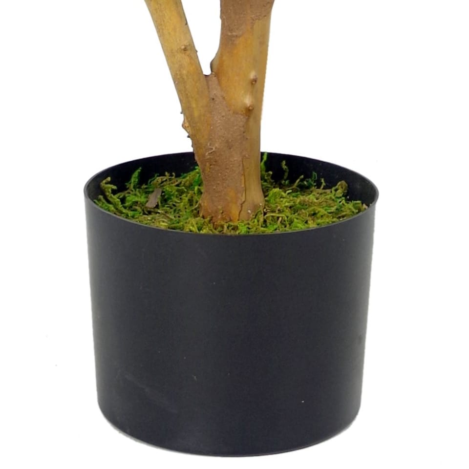 image 1 of Artificial Olive Tree Black Plastic Pot 65cm Luxury Olive 65cm Real Wood Trunk Botanik | Green | 2ft