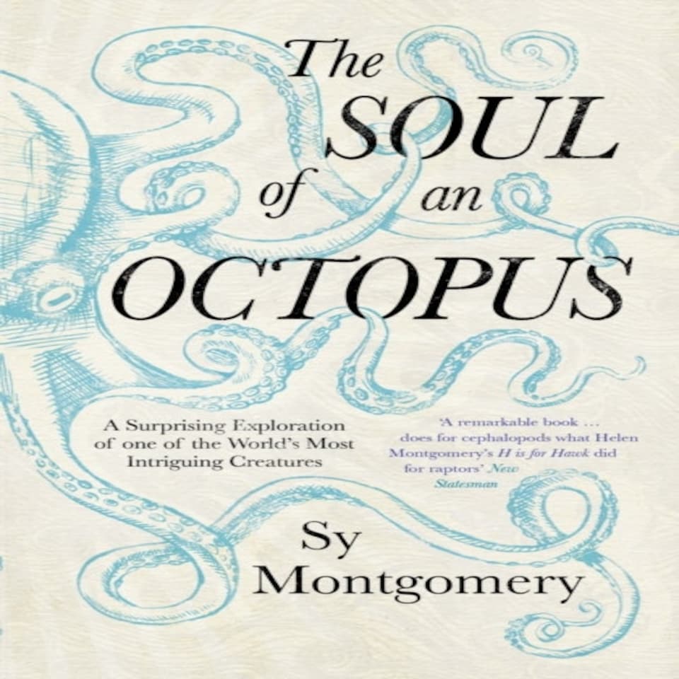 The Soul Of An Octopus