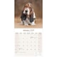 image 3 of Basset Hound 2026 Calendar | Square Wall Calendar | Dog Breed Gift | Plastic Free Packaging | by Avonside Publishing