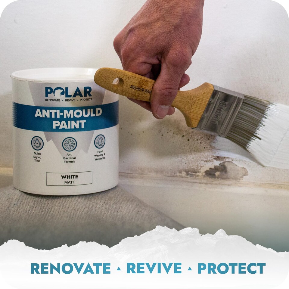 image 1 of Polar Anti Mould Paint Interior Walls & Ceilings Matt | Cream | Magnolia | 1 litre