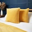 Ochre - Selected