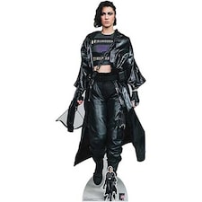 Huntress Harley Quinn Birds of Prey DC Comics Mary Elizabeth Winstead Lifesize Cardboard Cutout 174cm