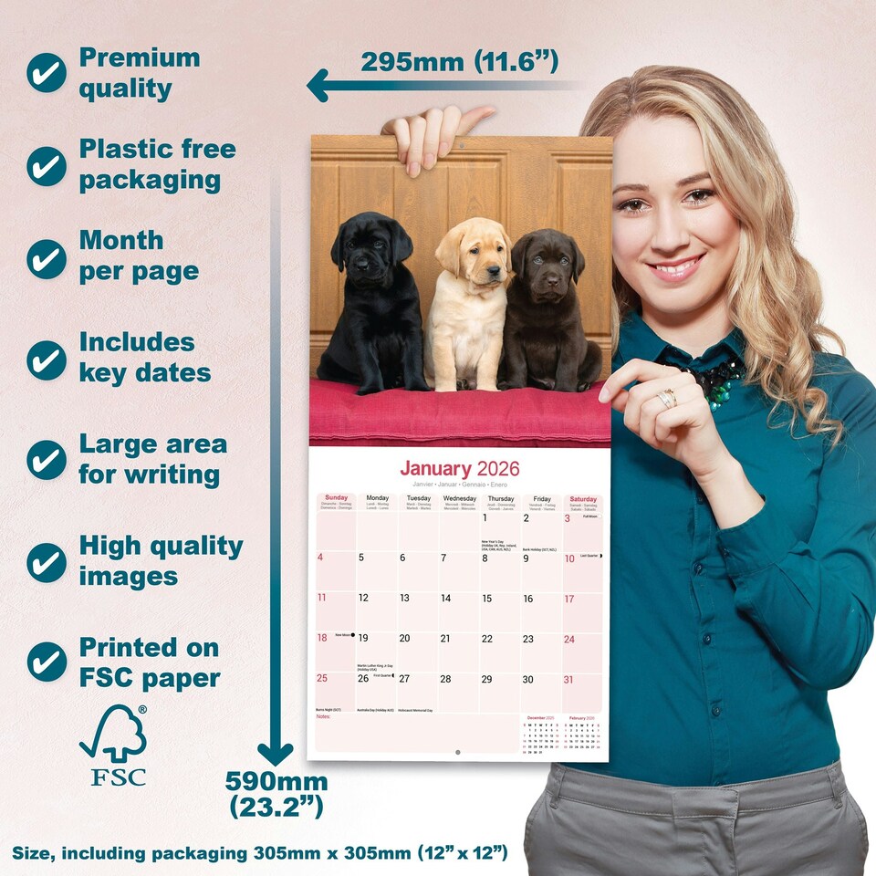 image 1 of Labrador Retrievers (Chocolate, Black, Yellow, Fox Red) 2026 Calendar | Square Wall Calendar | Dog Breed Gift | Plastic Free Packaging | by Avonside Publishing