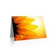 image 2 of Dt Bright Sunflower Petals Birthday Card