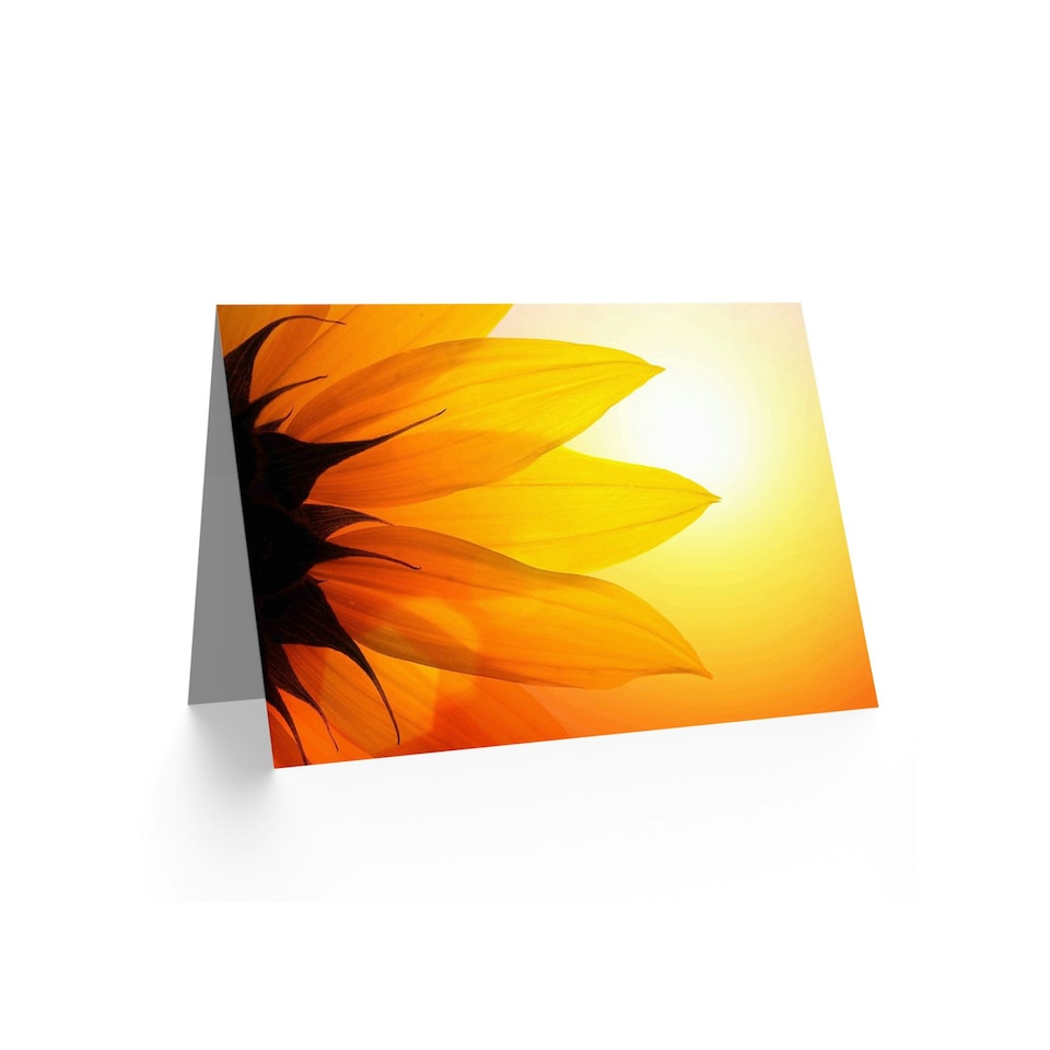 image 1 of Dt Bright Sunflower Petals Birthday Card