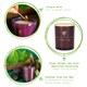 image 2 of Nicola Spring Soy Wax Scented Candle - 130g - Cinnamon & Orange | Purple | Purple