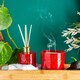 image 8 of Nicola Spring Reed Diffuser - 200ml - Wild Fig & Cassis