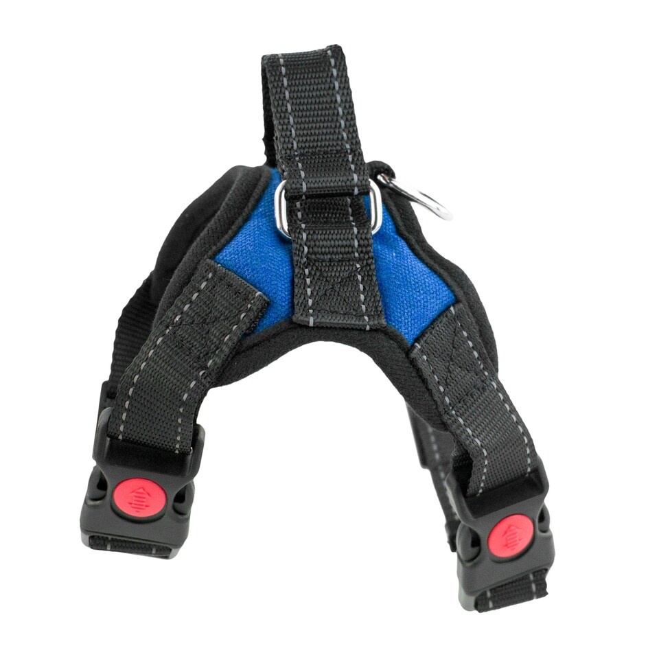 image 1 of KCT Extra Small Blue Padded Dog Harness Blue | XS