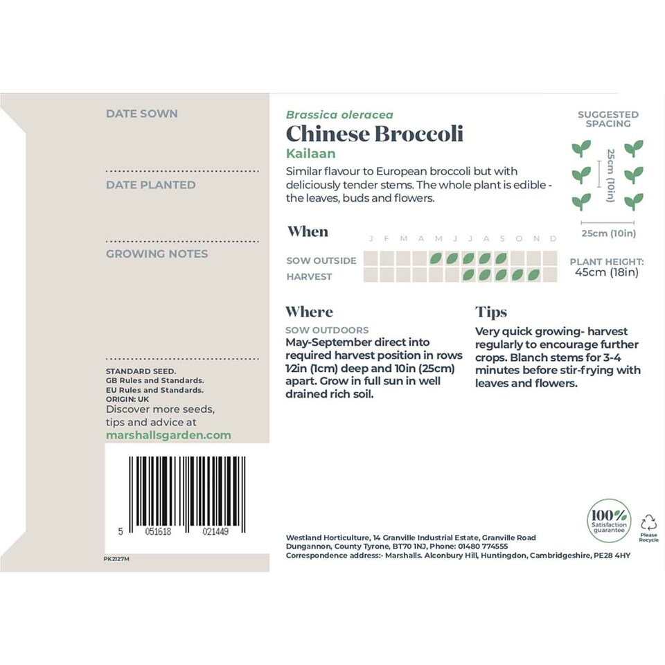 image 1 of Marshalls Garden Chinese Broccoli 'Kailaan' Seeds, 220 Seeds | Green | Green