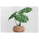 image 1 of Monstera Rug Green | L