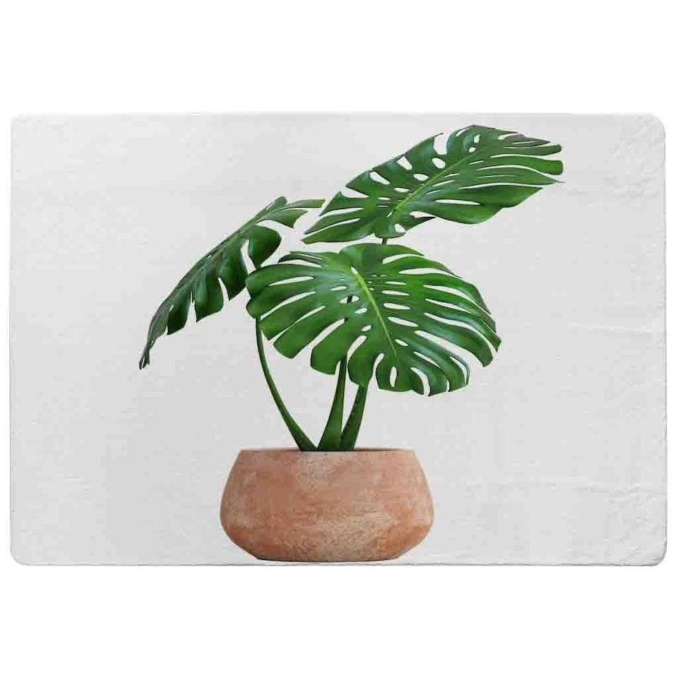 image 1 of Monstera Rug Green | L