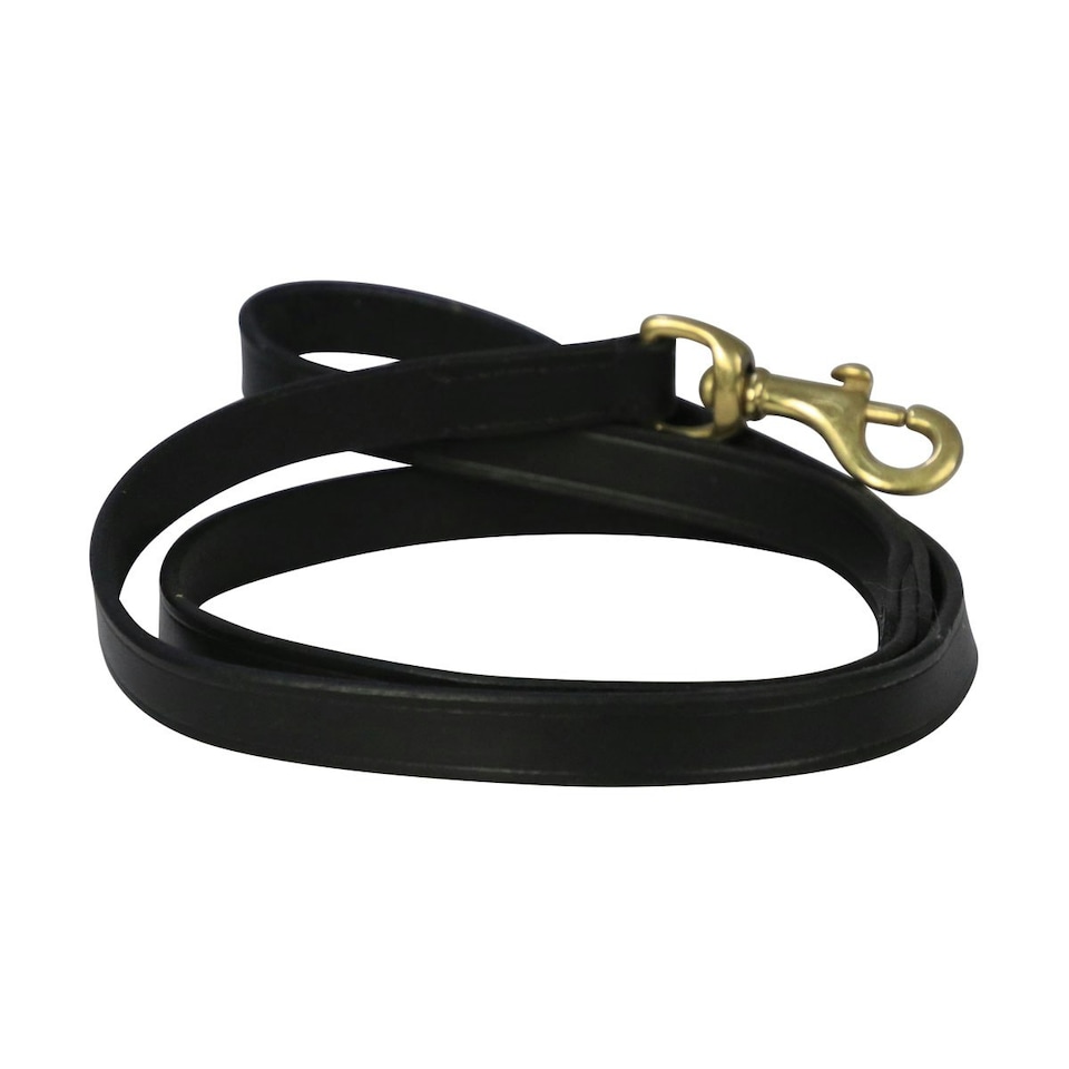 Benji & Flo Deluxe Leather Padded Dog Lead - Black/Brass - One Size