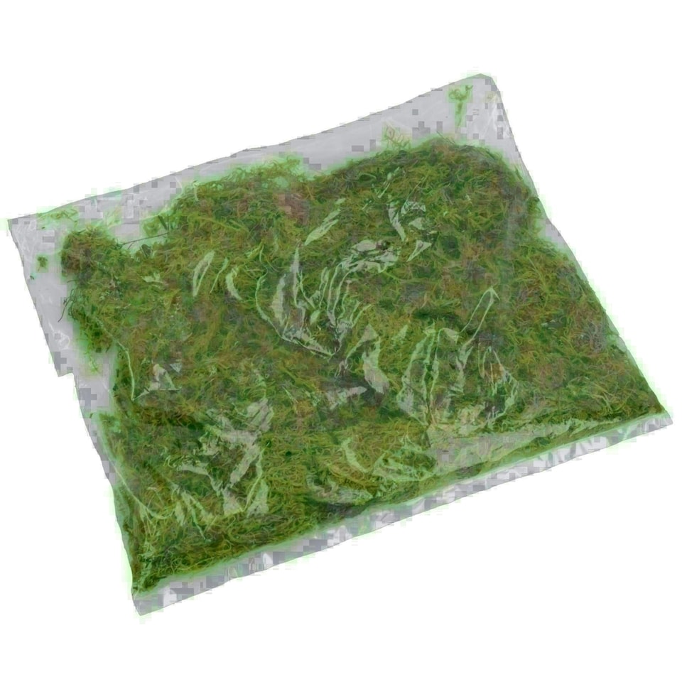 image 1 of 1 Pack of 1.5L Habitat Moss Natural Substrate For Reptile Frog Snake Gecko